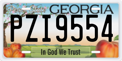 GA license plate PZI9554