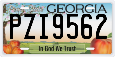 GA license plate PZI9562