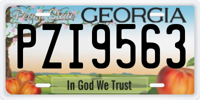 GA license plate PZI9563