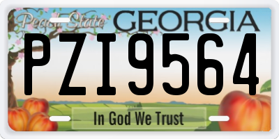 GA license plate PZI9564