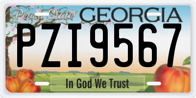 GA license plate PZI9567