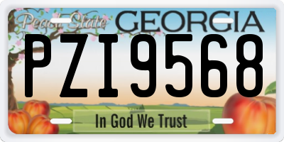 GA license plate PZI9568
