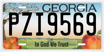 GA license plate PZI9569
