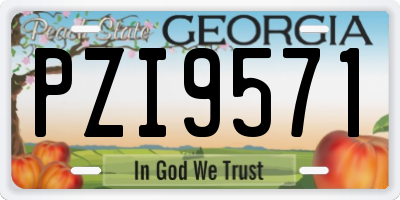 GA license plate PZI9571