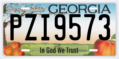 GA license plate PZI9573
