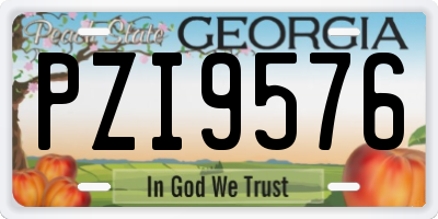 GA license plate PZI9576