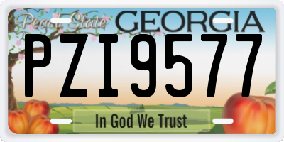 GA license plate PZI9577