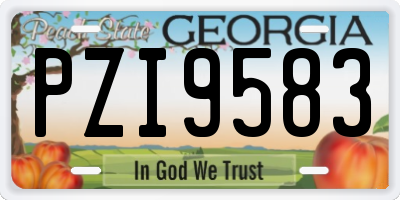 GA license plate PZI9583