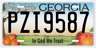 GA license plate PZI9587