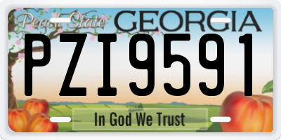 GA license plate PZI9591