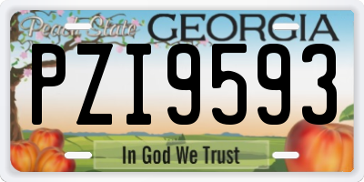 GA license plate PZI9593