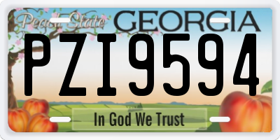 GA license plate PZI9594