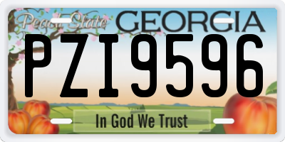 GA license plate PZI9596