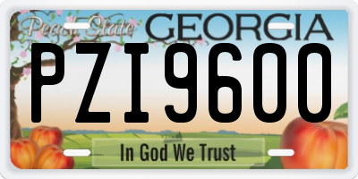 GA license plate PZI9600