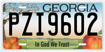 GA license plate PZI9602