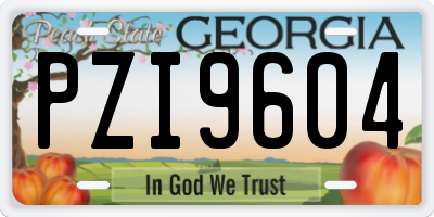 GA license plate PZI9604