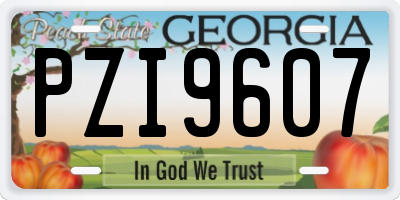 GA license plate PZI9607
