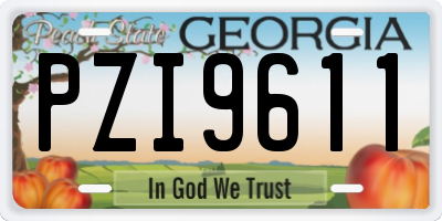 GA license plate PZI9611
