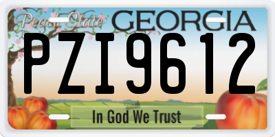 GA license plate PZI9612