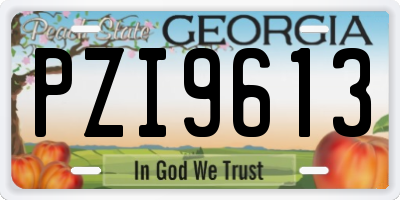 GA license plate PZI9613