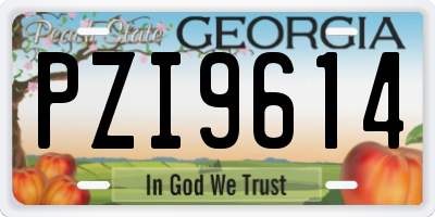 GA license plate PZI9614