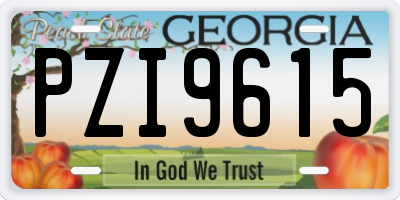 GA license plate PZI9615