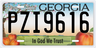 GA license plate PZI9616
