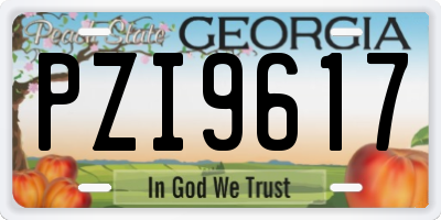 GA license plate PZI9617