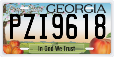 GA license plate PZI9618