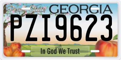 GA license plate PZI9623