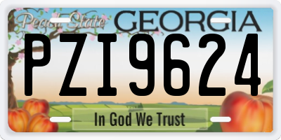 GA license plate PZI9624