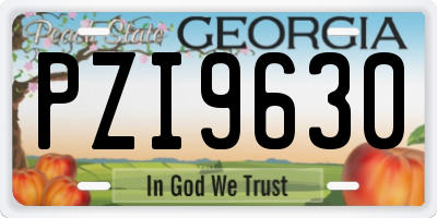 GA license plate PZI9630