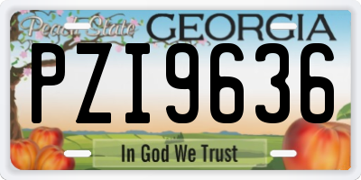 GA license plate PZI9636