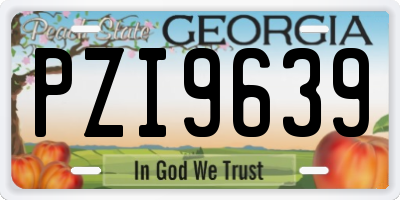 GA license plate PZI9639