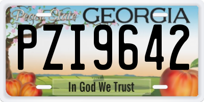 GA license plate PZI9642