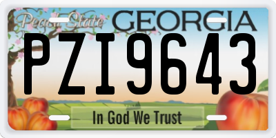 GA license plate PZI9643