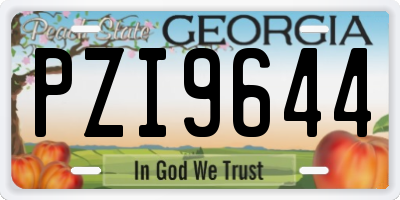 GA license plate PZI9644