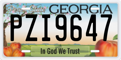 GA license plate PZI9647