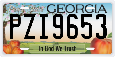 GA license plate PZI9653
