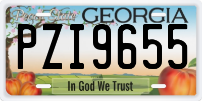 GA license plate PZI9655