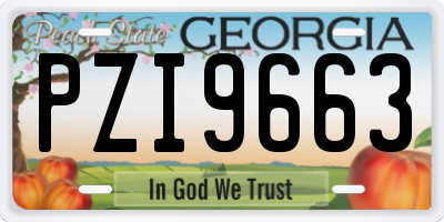 GA license plate PZI9663