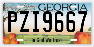 GA license plate PZI9667