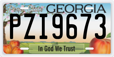 GA license plate PZI9673
