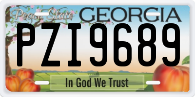 GA license plate PZI9689
