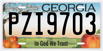 GA license plate PZI9703