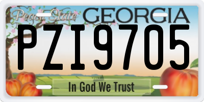 GA license plate PZI9705