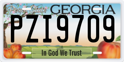 GA license plate PZI9709