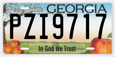 GA license plate PZI9717