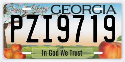 GA license plate PZI9719