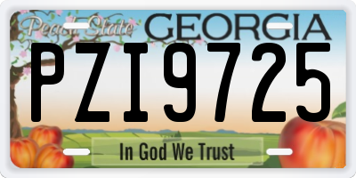 GA license plate PZI9725